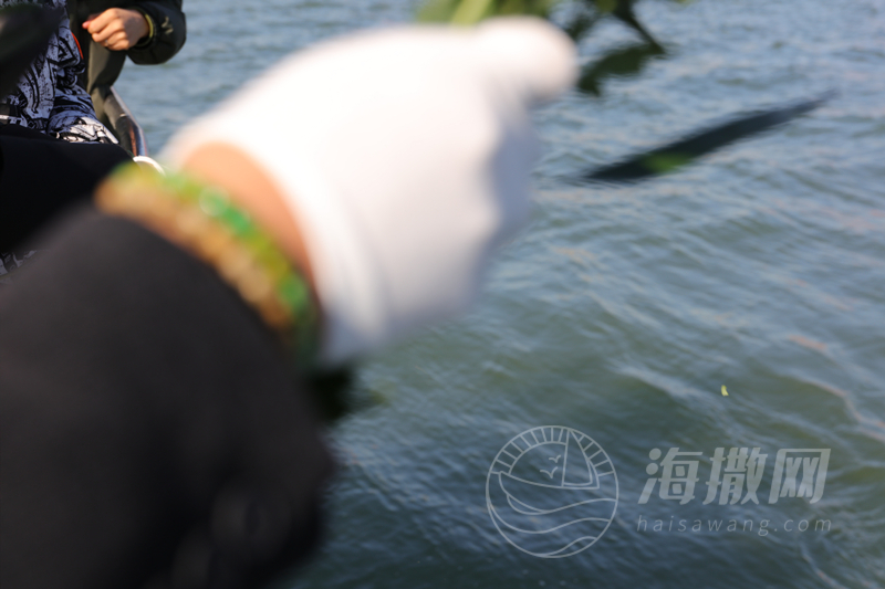 海葬一对一服务
