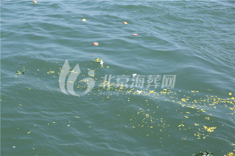 骨灰海撒
