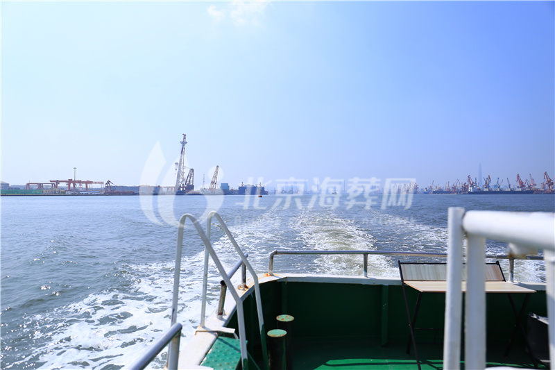 骨灰海撒