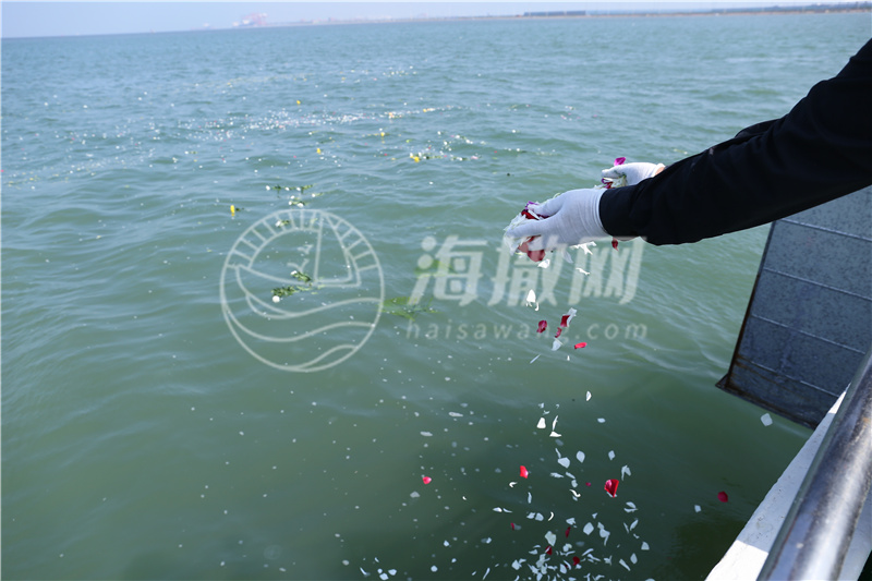 骨灰海撒