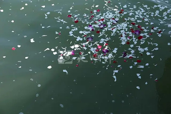 骨灰海撒