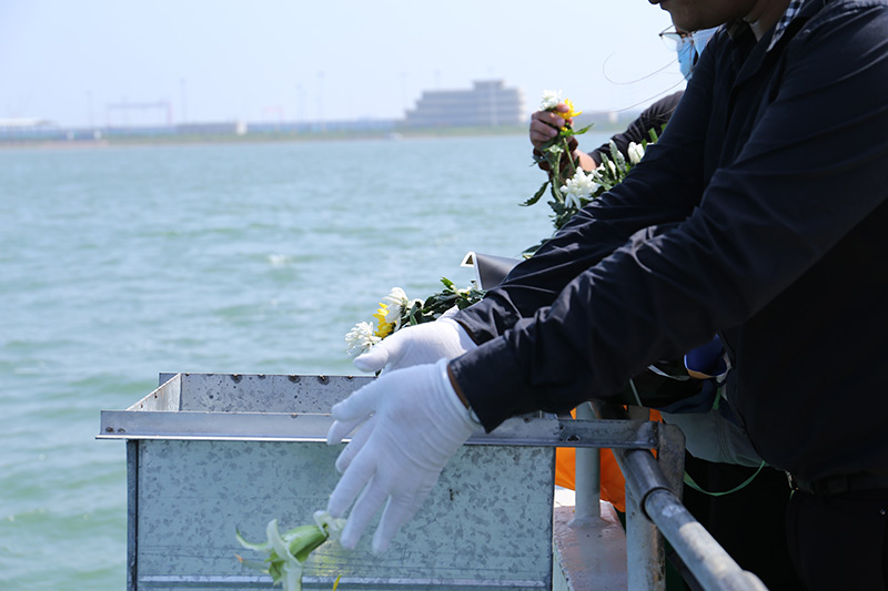 骨灰海撒